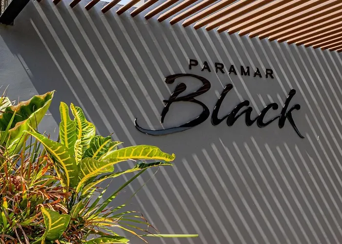 Paramar Black, Style In Zama